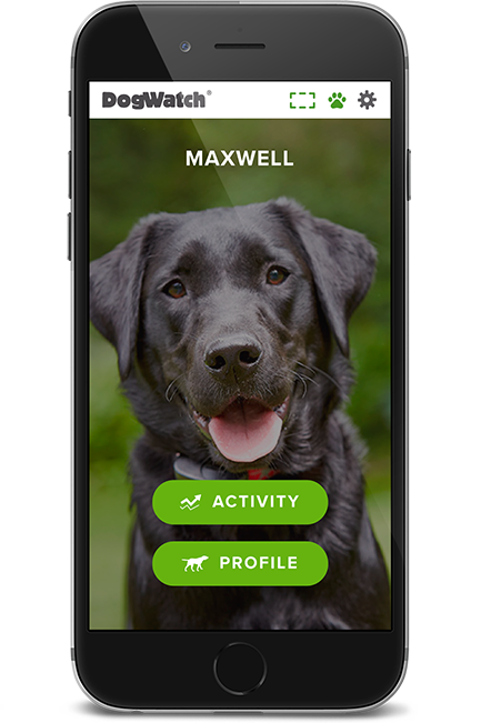 DogWatch of Northern Florida, Havana, Florida | SmartFence WebApp Image