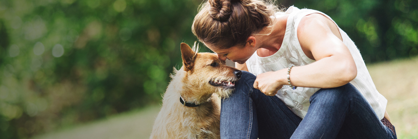 DogWatch of Northern Florida, Havana, Florida | BarkCollar No-Bark Trainer Slider Image